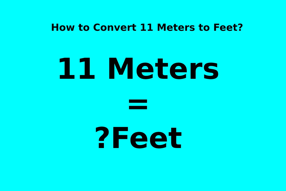 11 Meters To Feet 