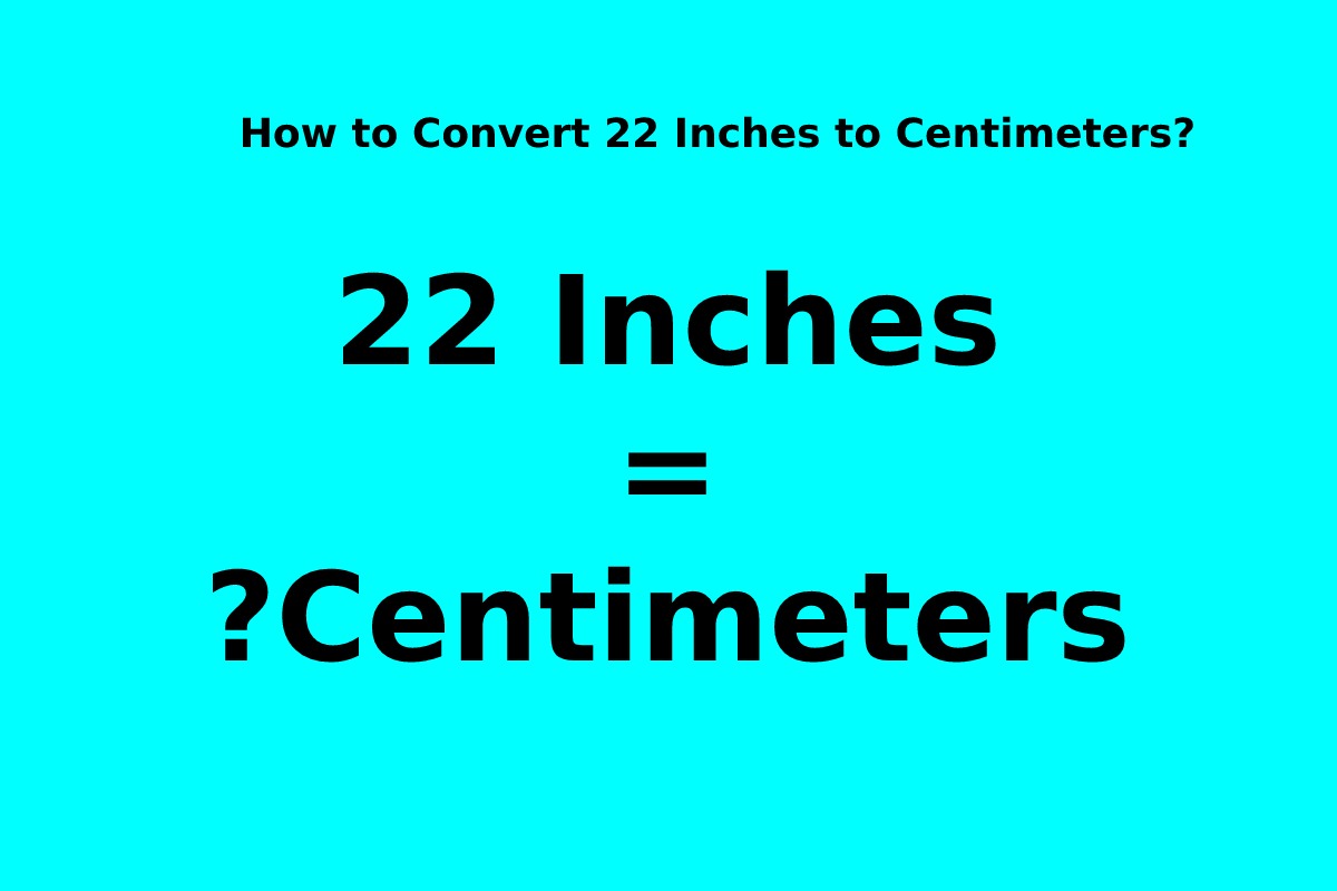 22 Inches To Centimeters 1 
